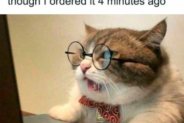 Black Friday Memes - Nerd Ninja